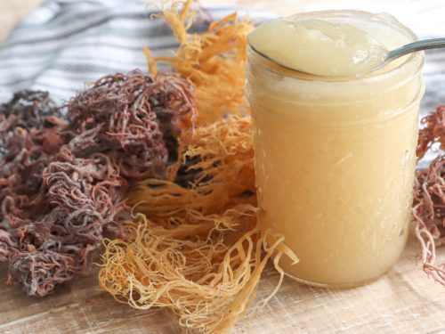 Sea Moss Gel: What you ought to Know post thumbnail image
