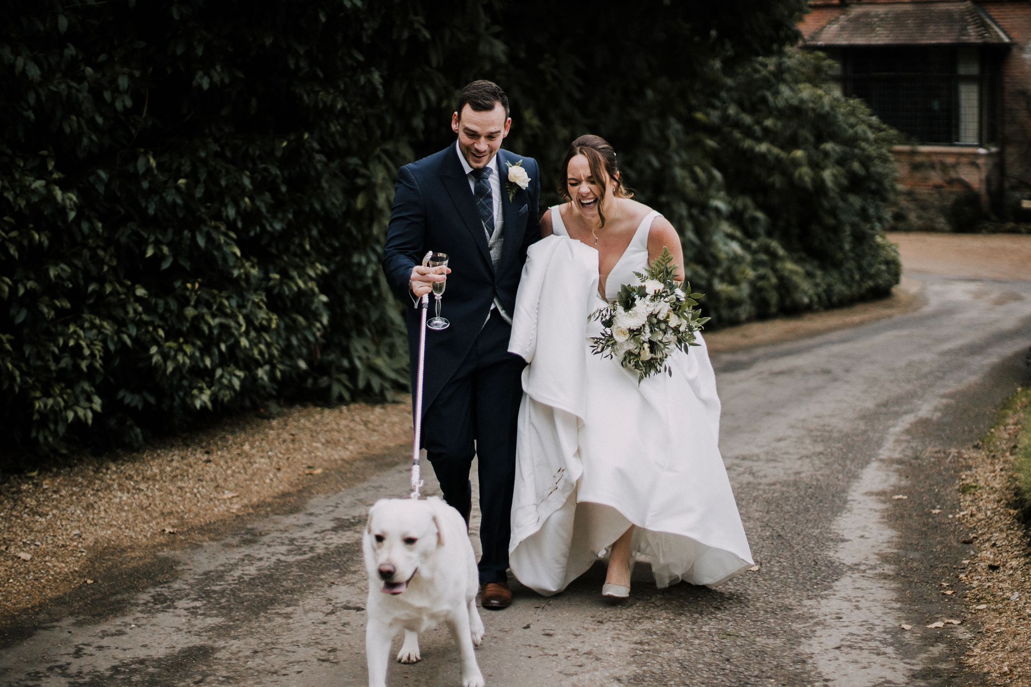 Have your pet Be a Part of Your Special Time With These 5 Unity Wedding ceremony Suggestions post thumbnail image