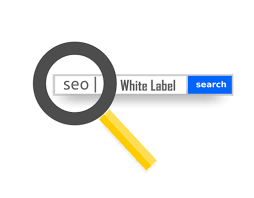 Get a comprehensive white label SEO assistance without difficulty post thumbnail image